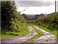 Track to Plas-y-bedw, Llandissilio: wet weather