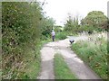 Track repairs near Chickerell