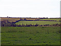 Rough hilltop pasture near Castell Draenog, Llangan