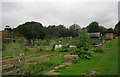 Allotments - School Lane, Colton