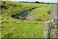 The Glen Burn near Moorfields (2)