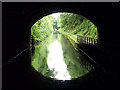 SJ8219 : Out of Cowley Tunnel by Andy Beecroft