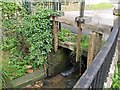 Mill Sluice, Painswick