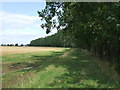 Tree lined boundary