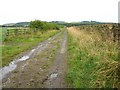 Bridlepath Towards Chapmans Well