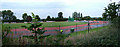 Running Track, Bury Leisure Centre