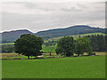 Fields near Mill of Drummond