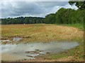 Stubble, Medmenham