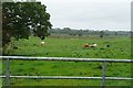 M9740 : Pasture at Creagh by Graham Horn