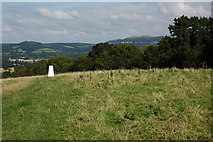 SO7241 : Trig Point, Oyster Hill by Philip Halling