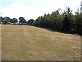 Suckered Elm field boundary Blenheim Park, looking towards Leigh-on-Sea Fire Station