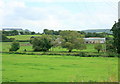 2008 : Pasture at Wick