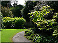 Wallington walled garden