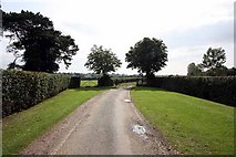 TL5704 : Road to Hall, Norton Mandeville, Essex by John Salmon