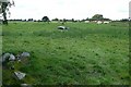 M9247 : Pasture at Kilcar by Graham Horn