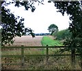 SK7917 : Fields by Sawgate Road by Andrew Tatlow