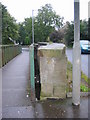 Union Canal Bridge 54 and its sidekick, the metal footbridge