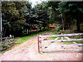 Gated entrance to a forest on the flank of Birsemore Hill