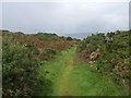 Footpath above St Agnes Head