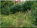 A hole in the ground, Shelley Street, Swindon