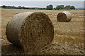 Straw bales at Besford