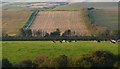 Countryside near Tatton