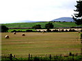 Autumn fields