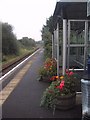 Towards Exeter from Morchard Road Station