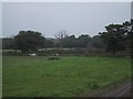 Fishing Pond at Morchard Road