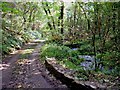 Nant Sylltyn, Beulah: downstream