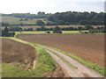 Track south from Rookery Farm towards Somersham