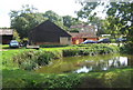 Looking over the pond to Crow Hall