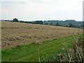 Field, northwest of Marlborough