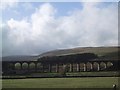 Viaduct on Disused Railway Line