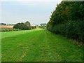 Gallop, Manton Down, Marlborough