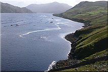 L7864 : View up Killary Harbour by Graham Horn
