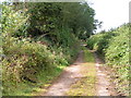 Lane now just a footpath near Redhayes