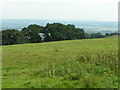 At the top of Church Hill, Pinhoe