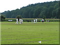 Thorverton cricket field