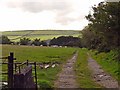 Track to Maes yr Haf, East Cilrhedyn