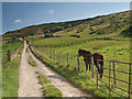 On the Cleveland Way