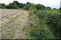 Arable land at Winsterslow