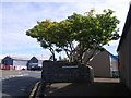 Gibblestone Court, Scalloway