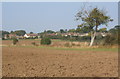 Crossing open fields towards Shimpling Street