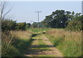 Bridleway towards Chadacre Park