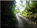 Farm road through Brimley Coombe