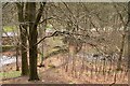 Mill ponds below Eaves Wood