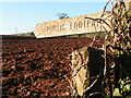 Footpath across a field near Thorverton