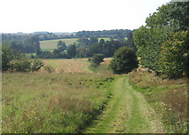 TL8350 : Bridleway from Gifford's Hall towards the B1066 and Boxted by Andrew Hill