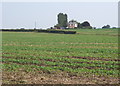 Open field looking towards Mount Farm